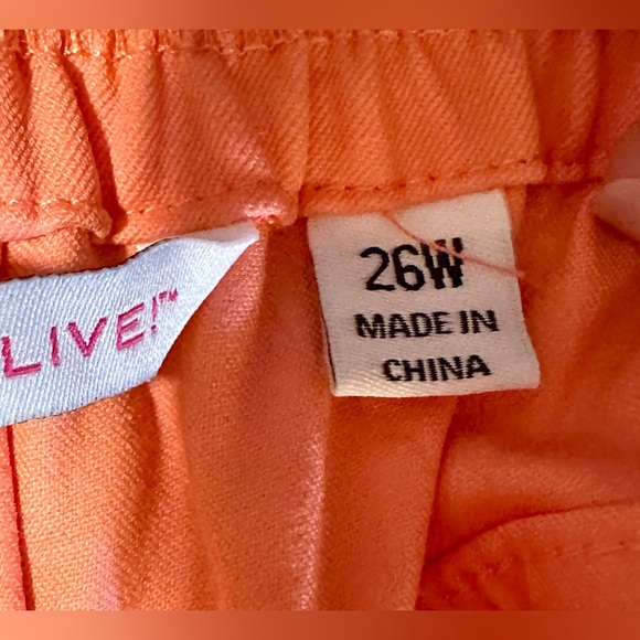 Isaac Mizrahi Live! 24/7 Stretch Ankle Pants with Pintuck Coral Curvy Sz 26 - Picture 8 of 10